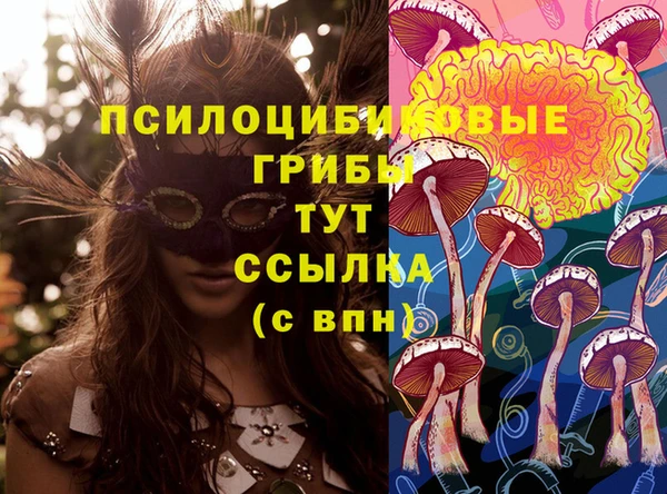 mdpv Алексеевка
